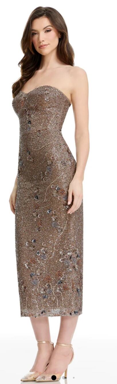 Elegant Dress the Population Shailene Gown - Size Large (New)